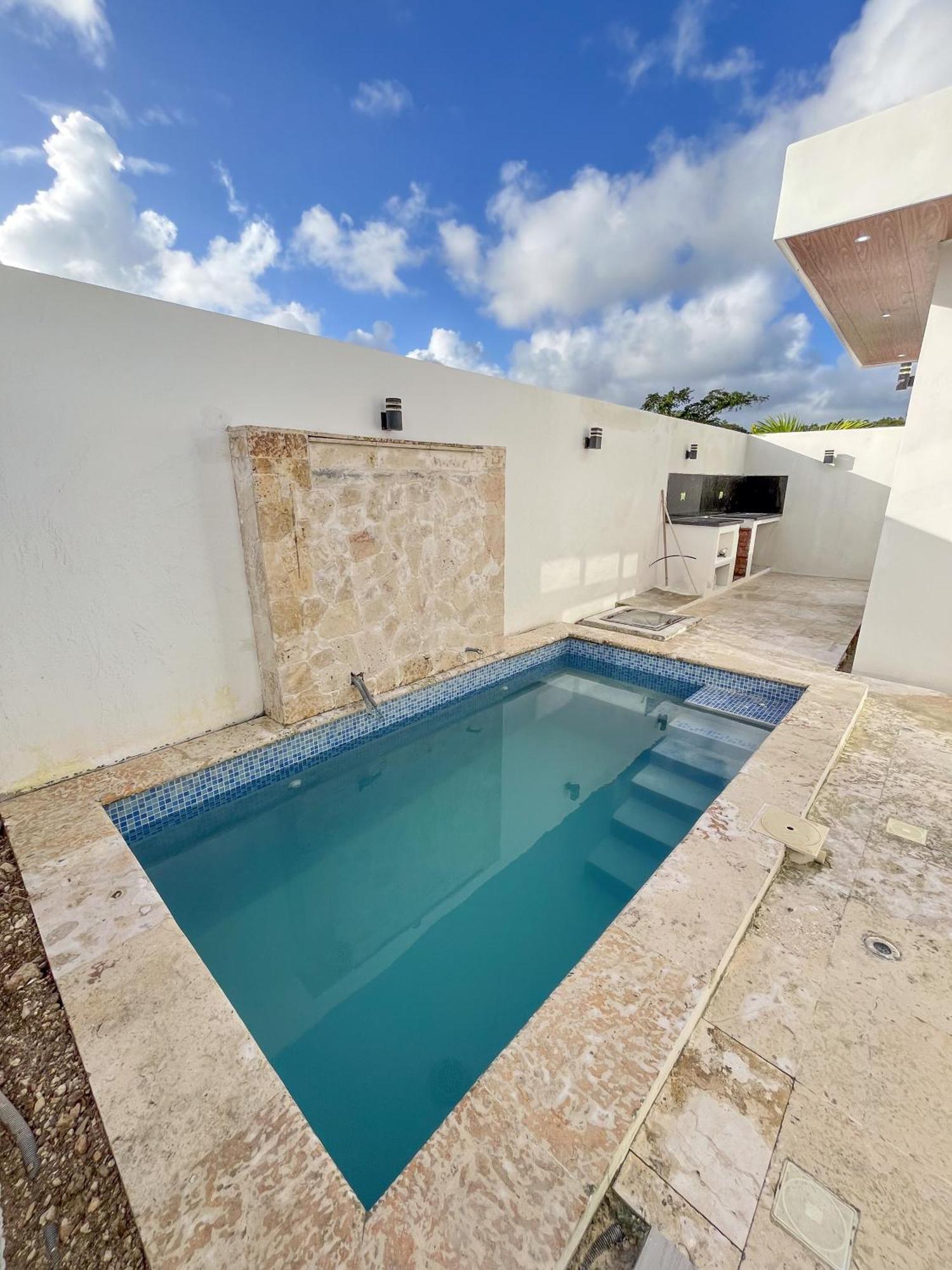 Palmeras Villa Punta Cana